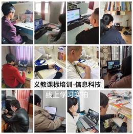 许多照片放在一起 描述已自动生成